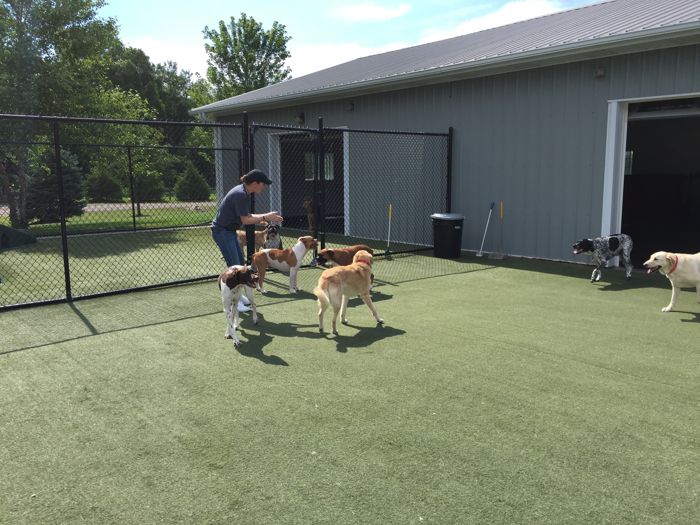 Cottonwood Pet Resort | Pet Boarding Elkhorn, Omaha | Grooming | Pet  Training | Obedience Training